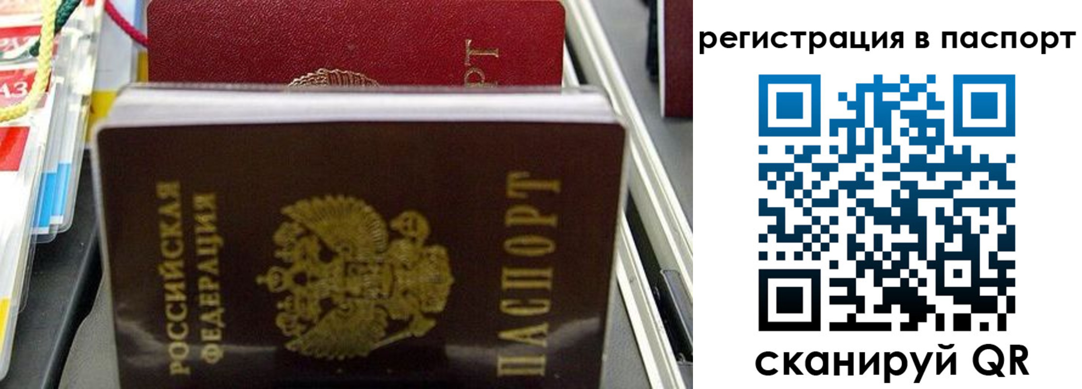 прописка для школы в Георгиевске